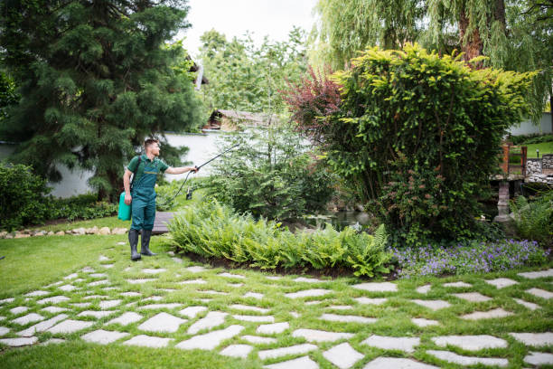Best Pest Prevention Services  in Rutledge, TN
