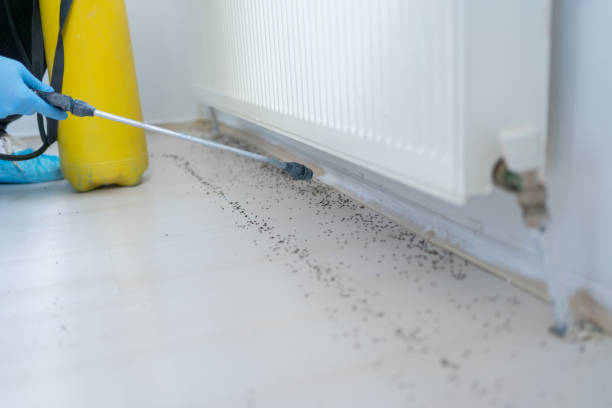 Best Commercial Pest Control Services  in Rutledge, TN